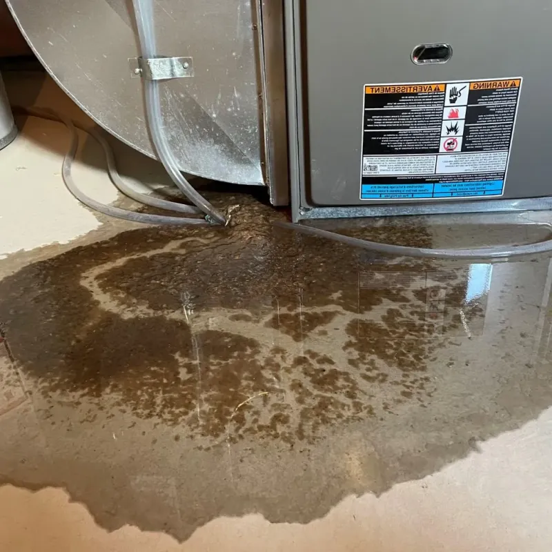 Pipe Burst and Leak Restoration in Winchester, KY