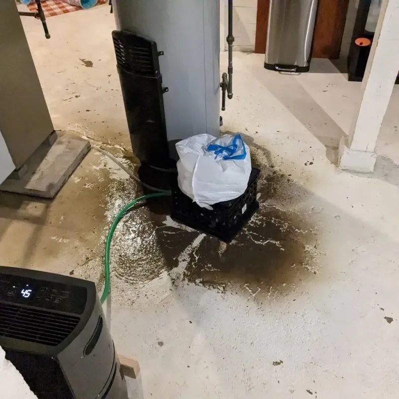 Sewage Backup Cleanup Service in Winchester, KY